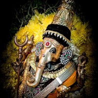 Murthy Akm
