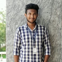 Sankara Narayanan N