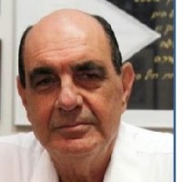 V. Admiral (Ret.) David Ben-Bashat