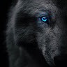 ALPHA WOLF