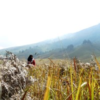 Dewi Ariyanti
