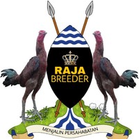 Raja Fj