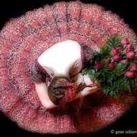 natascha camen