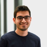 Mohamed Elsodany
