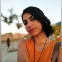 ANA LARISSA SILVA SANTOS