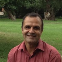 MOSTAFA HOSSEINI