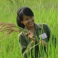 My-Linh Cao