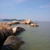 庄康伟
