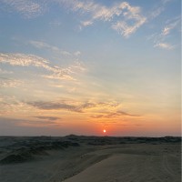 Shamma Al Hosani