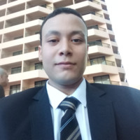 Ibrahim A.H.Abd Ellah