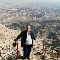 mojtaba nik