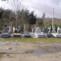 neves martinho N.Martinho