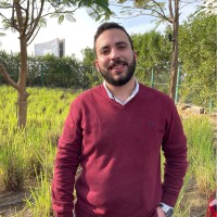 Ziad Aly