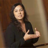 Mirella P. A. Hirakawa
