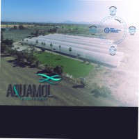 Carlos Universo Molina Sahagun