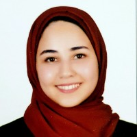 Nourhan A. Sary Eldin