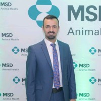 karzan mohammed
