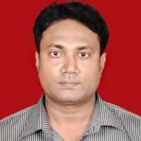 Biswajit Ray