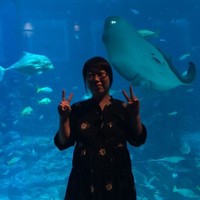 Dan Xia Zhao