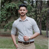 Ameer Hamza Awan