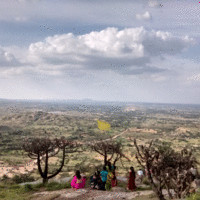 Vignesh Waran