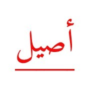 aseal group