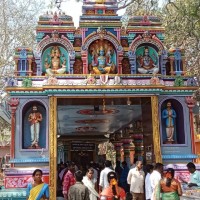 Bhagya Bhagi
