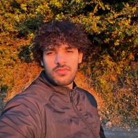 Vikas Kumar