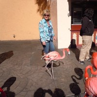 Kathy Johnston