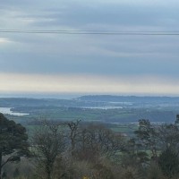 Peter Graddon
