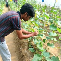 Deepak Kamatham
