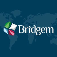 Bridgem Network
