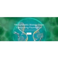 Community Manager Middle-East