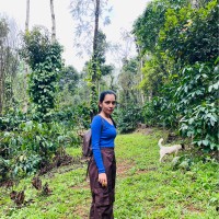 Seema Kushwaha