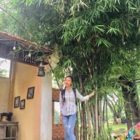 Huỳnh Thị Hồng Vân