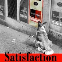 Satisfaction Super Premium