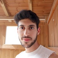 Yotam Shtibel