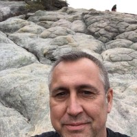 David P