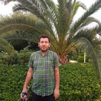 Morteza Ghiasvand