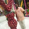 Shihab Np