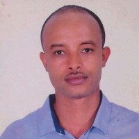 Haftom Teklay Weldegerima