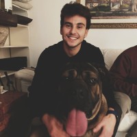 Lorenzo Cola