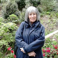 Ann Whittet