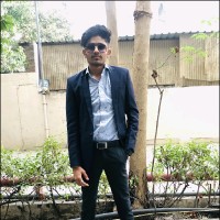 Vikash Rajpurohit