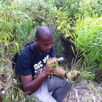 Nkoliso Magona