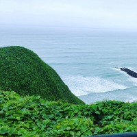 Osmer Tarrillo Requejo