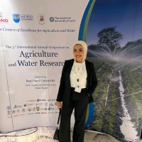 Amira Rabie