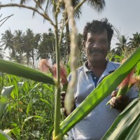 Bala Subramaniam