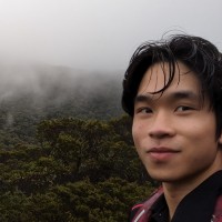 Phuc Nguyen