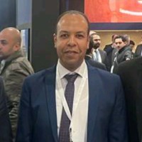 Mohamed Shamandy